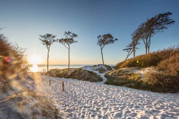 Familienfreundliche Ferienwohnungen in Ückeritz an der Ostsee