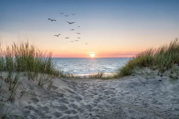 Ferienhaus an der Ostsee auf Usedom buchen – Erholung pur!