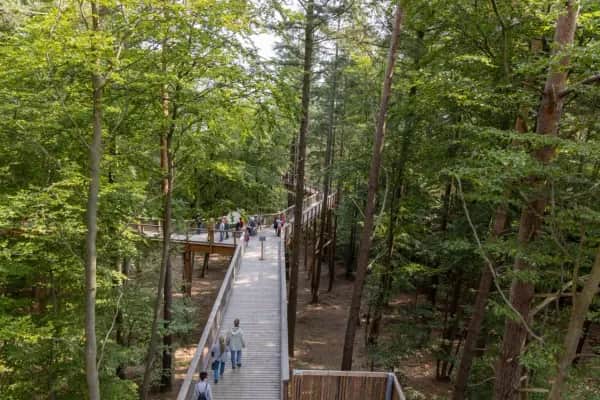 Ferienhaus nahe Baumwipfelpfad Aktivurlaub auf Usedom buchen