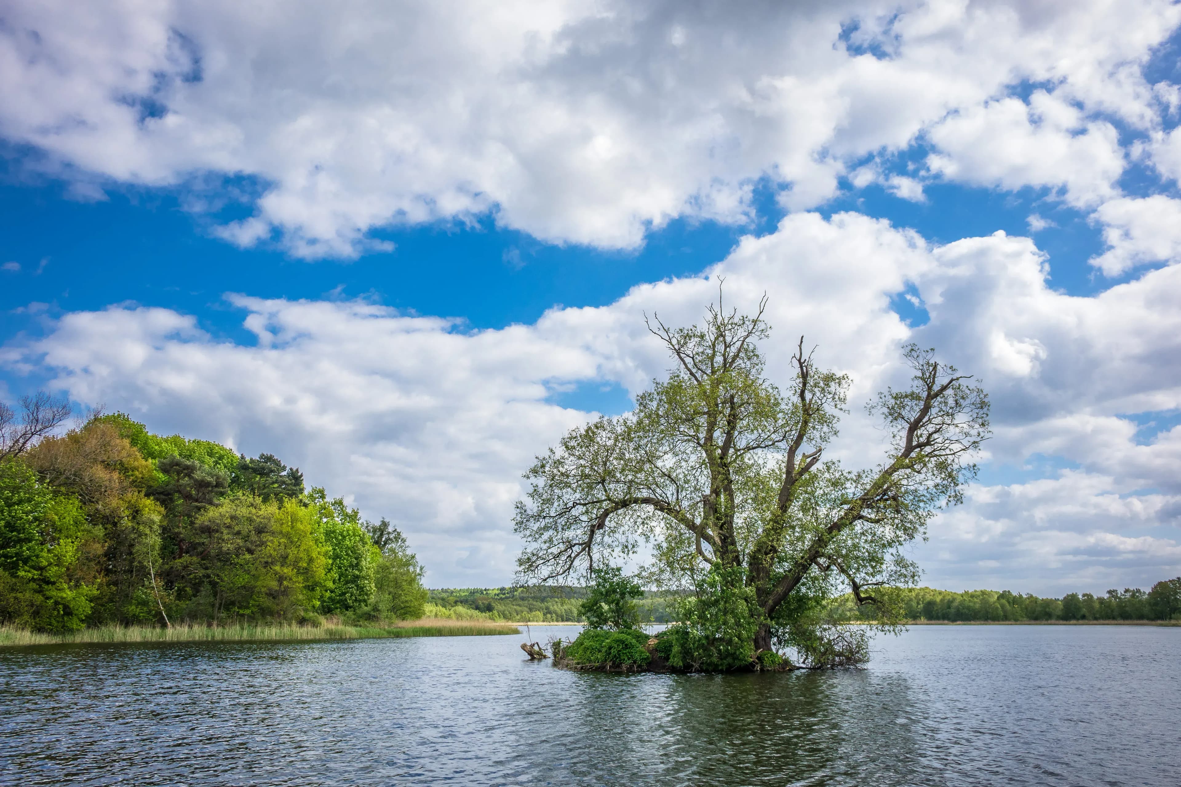 Kölpinsee Ferienwohnung buchen für den Ostseeurlaub mit der Familie