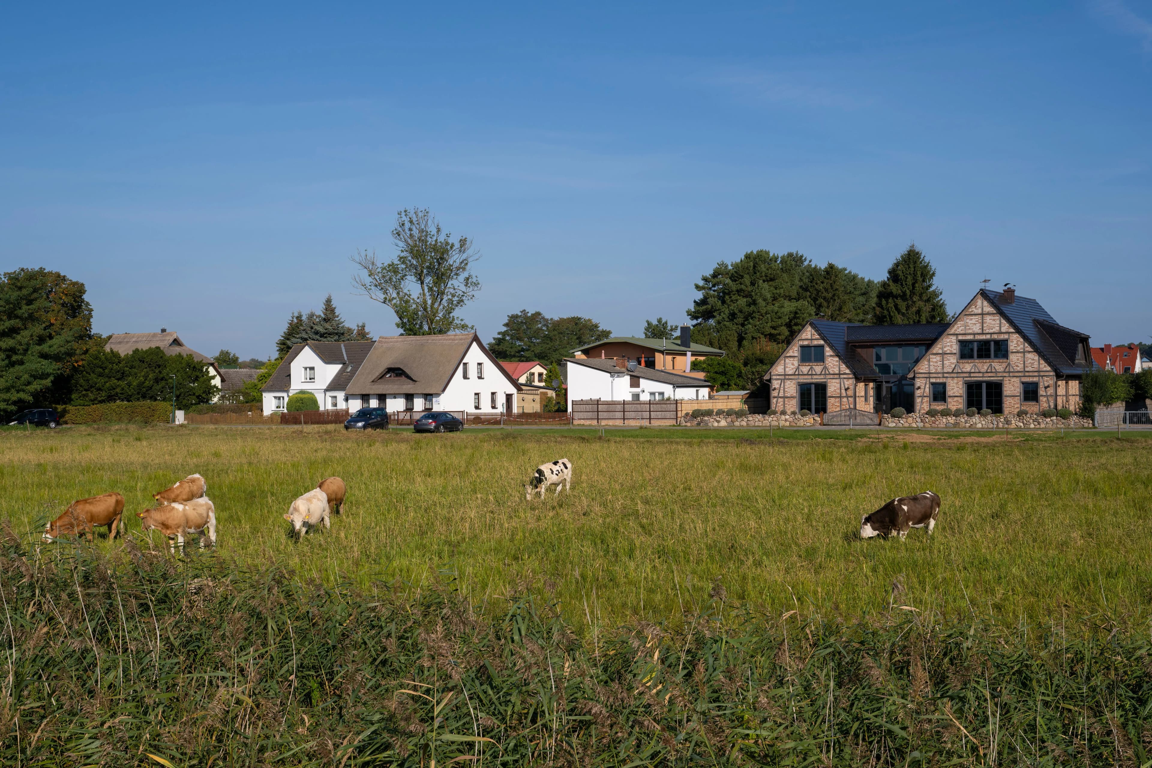 Familienfreundliche Ferienwohnungen in Zempin direkt an der Ostsee