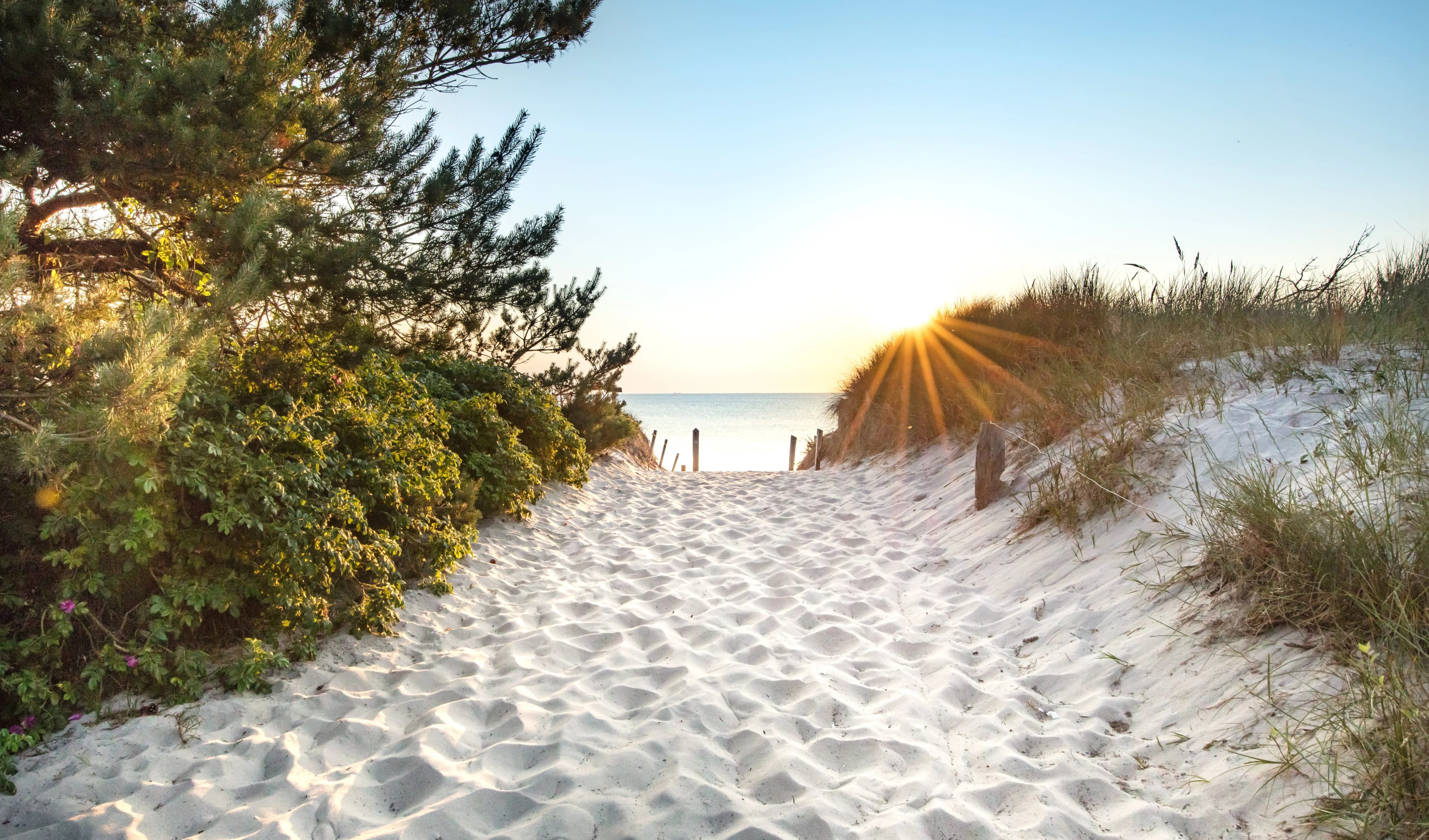 Wellnessurlaub in Zempin in Ferienwohnung mit Sauna genießen