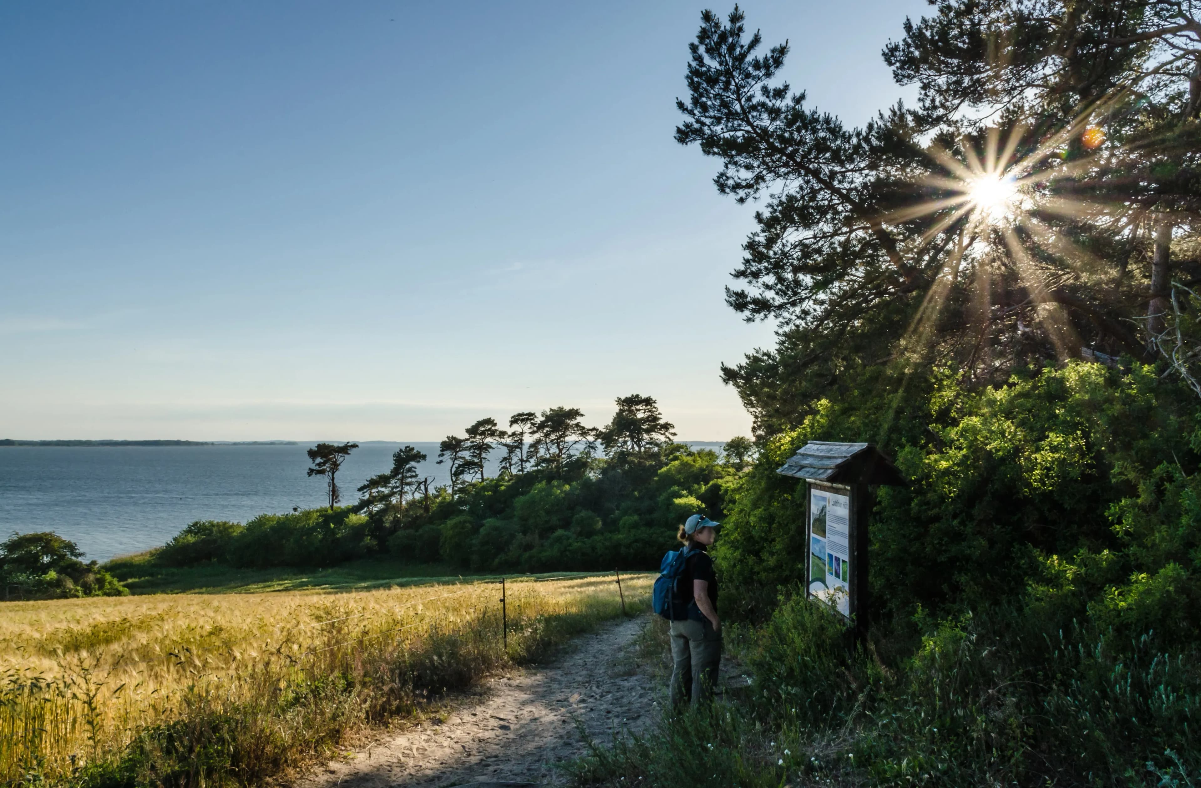 Loddin Ferienhaus mieten für Familienurlaub auf Usedom
