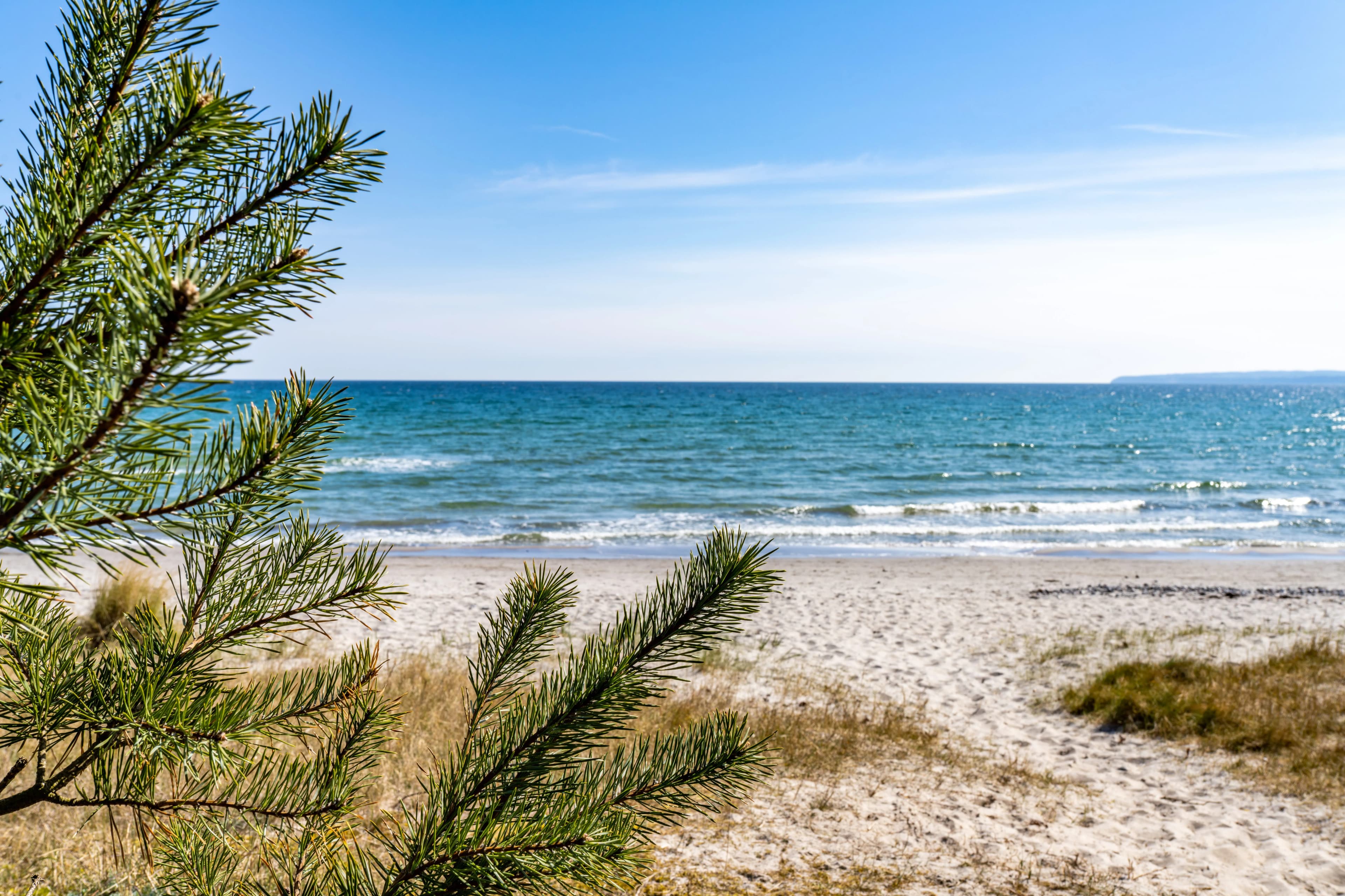 Strandnahe Ferienwohnungen in Loddin an der Ostsee