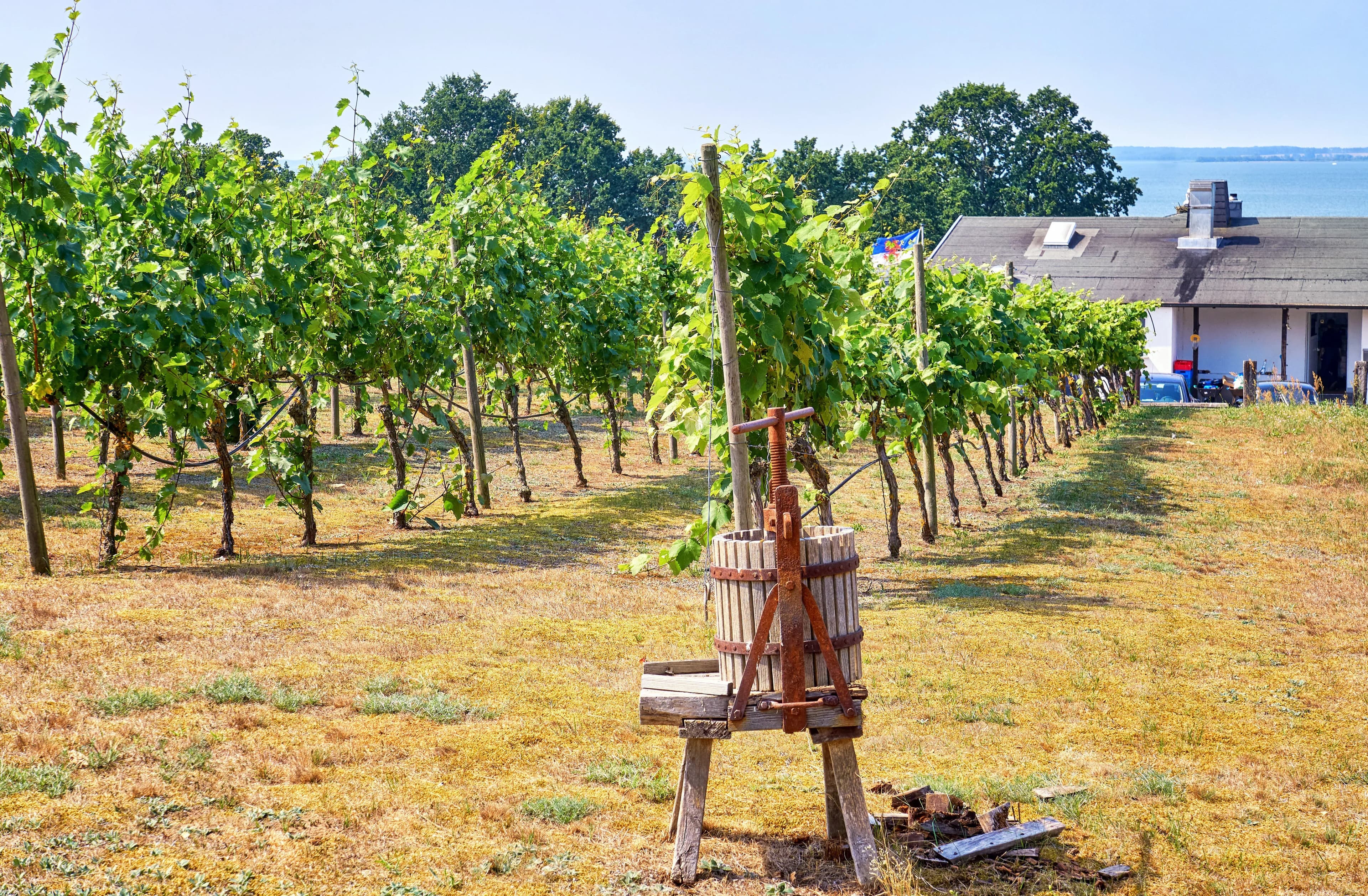 Günstige Ferienhäuser in Loddin auf Usedom buchen