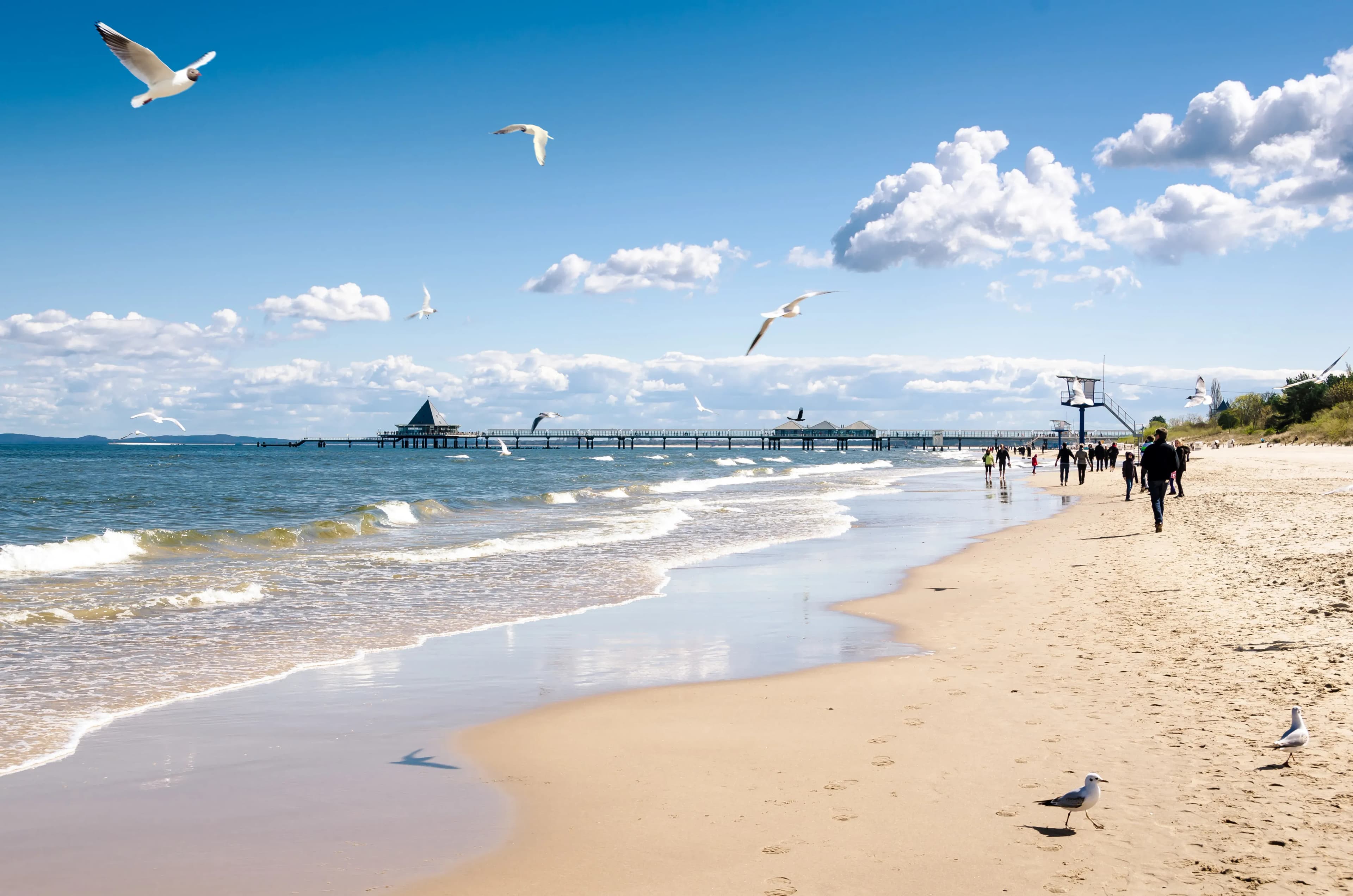 Günstige Ferienhäuser in Ückeritz auf Usedom buchen