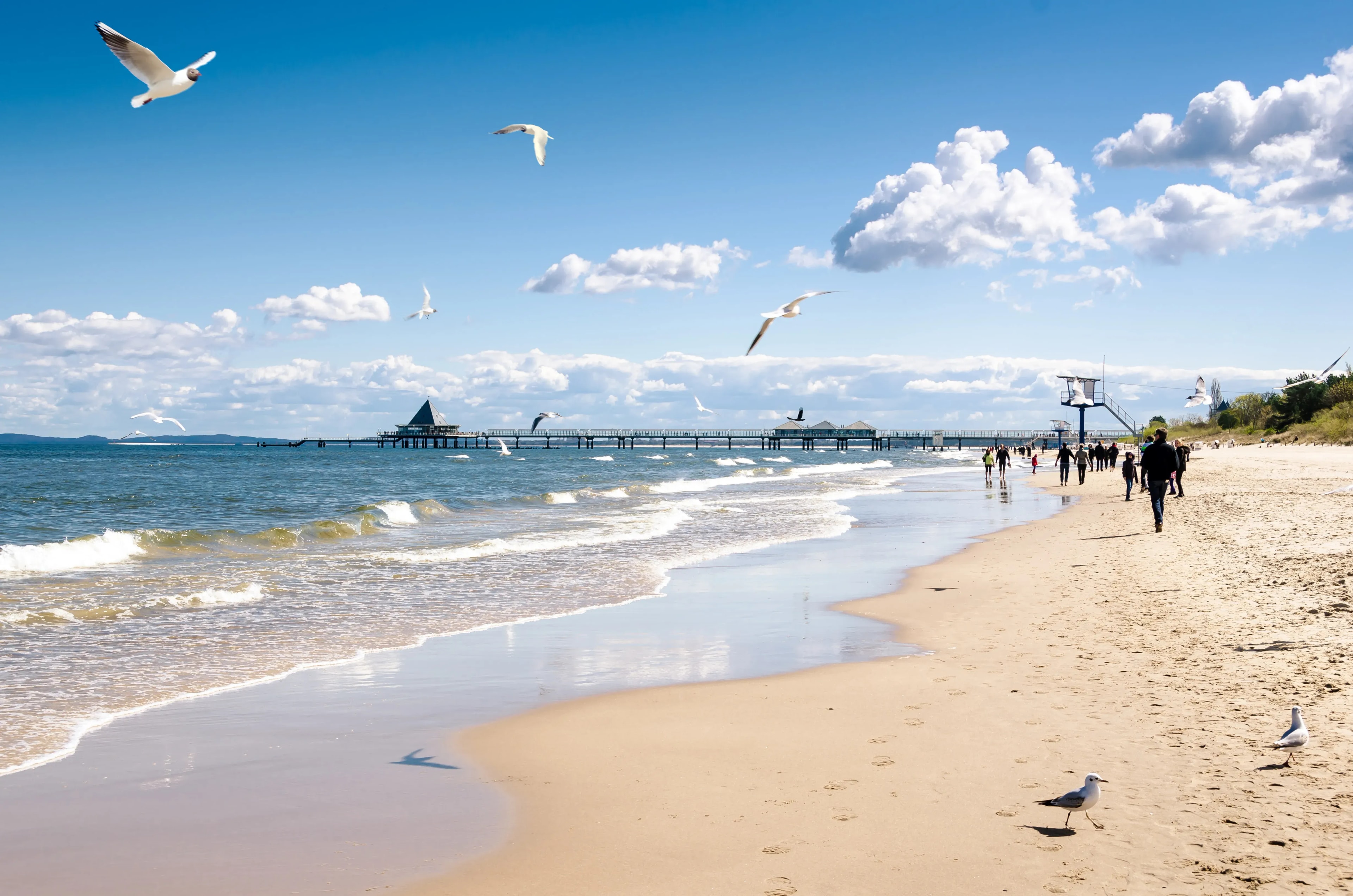 Günstige Ferienhäuser in Ückeritz auf Usedom buchen